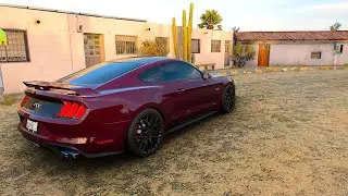 Ford Mustang GT 2018 Forza Horizon 5