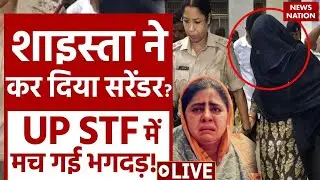 Shaista Parveen Surrender LIVE Updates: शाइस्ता का सरेंडर, Guddu Muslim परेशान! | Live News