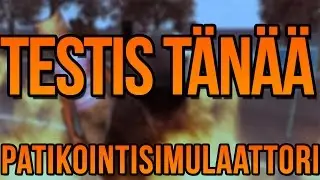 TESTIS T&Auml;N&Auml;&Auml;: PATIKOINTISIMULAATTORI