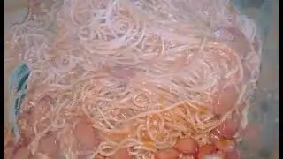 Let's cook mix spaghetti cheese milk sausage tomato sauce chicken meat 🧄🧅🧂👍👍🍝