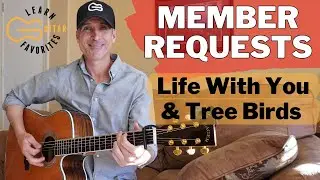 Life With You (Kelsey Hart) & Tree Birds (Dylan Gossett) - Guitar Lessons