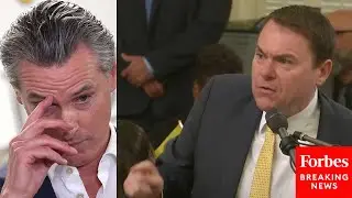'Why Have You Become Props To Gov. Gavin Newsom's Presidential Campaign?': CA Lawmaker Trolls Dems