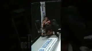 Never Taunt Too Early