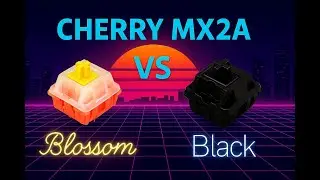 🔊 Cherry MX2A Blossom vs MX2A Black &ndash; Switch Sound Test (Neo65 with Alu Plate, no foam)