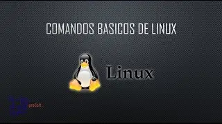 Comandos basicos de Linux - Basic linux commands -