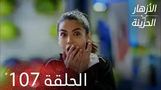 الأزهار الحزينة | الحلقة 107 كاملة | Kırgın &Ccedil;i&ccedil;ekler