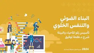 أحياء 4 | البناء الضوئي والتنفس الخلوي