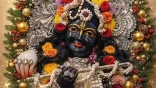 गहीर मैया की जय हो 🌺🚩🙏