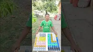 Game Challenge Sort Color Ball Puzzle#game #challenge #sortvideo #puzzle