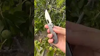 Qvist Bladeworks Vanish | Titanium Slip Joint #shortsfeed #shorts