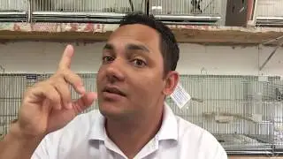 MUDA DE BICO O QUE FAZER?