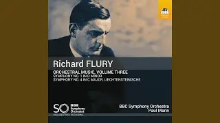 Symphony No. 4 in C Major, Liechtensteinische: IV. Finale. Allegro