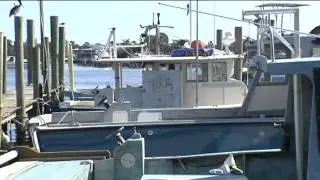 Port Salerno Commercial Fishing Industry: Port Salerno Seafood Festival, Florida
