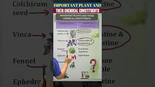 Important Plants & Their Chemical Constituents | Pharmacognosy MCQs & Quick Revision