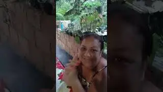 Lu no sitio est&aacute; ao vivo!