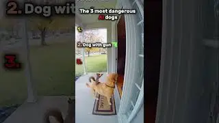 The 3 Most Dangerous Aİ Dogs 🐶 #shorts #meme #ai #dog #top3