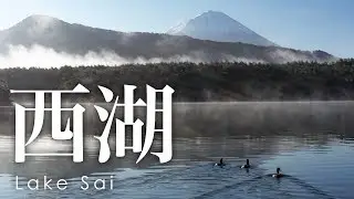 絶景空撮 西湖 - Aerial view of Mt.Fuji from Lake Sai