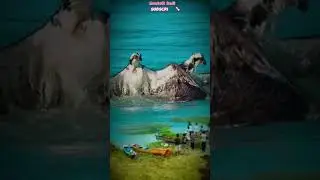BOTH OF GIANT EAGLE FLOATING ON THE SEA #animals