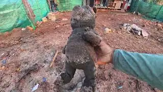 Unbelievable Find on the Beach | From Lost Toy to Strange Discovery!