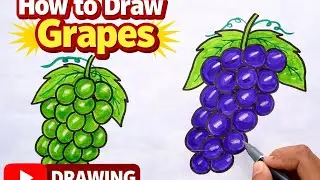 Easy Grapes Drawing | Simple Fruit Drawing for Beginners