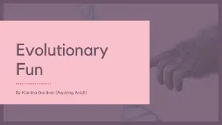 Evolutionary Fun