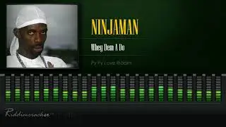 Ninjaman - Whey Dem A Do (Py Py Love Riddim) [HD]