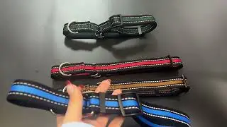 Custom Pet Martingale Reflective Safety Training Medium Heavy Duty Nylon Adjustable Collars for Dogs