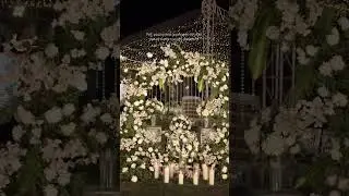 Sangeet Decor Ideas 2025 | The Wedding Company