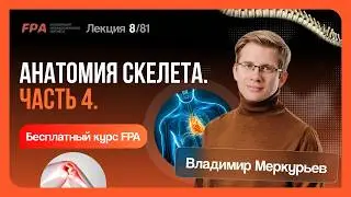Анатомия скелета. Часть 4. Преподаватель Владимир Меркурьев
