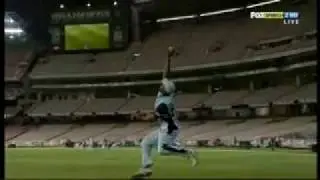 Dwayne and Steve Smith - 2 Amazing Catches