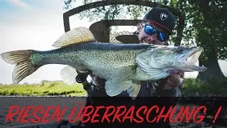 **FOX RAGE TV ** RIESEN-&Uuml;BERRASCHUNG beim Zander-Angeln | LIVE-BISS | Raubfischangeln | ZANDER |