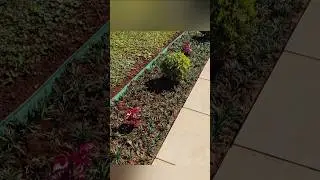 JARDIM COM GRAMA PRETA