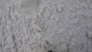 Jaeger Arrow Winter navigation