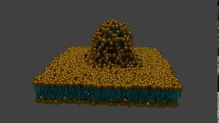 Vesicle-Membrane Fusion - Blender Animation Nodes