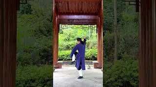 WuDang TaiYi Dragon Fist