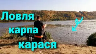 Рыбалка в Нижегородской области. КАРП НА ФИДЕР. Ловля КАРАСЯ на фидер. Рыбалка на Оке 2021
