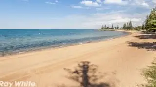 Scarborough - Super Spacious Beachside Unit, 100M To  ...