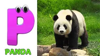 A for Apple Song | Phonics for Kids | ABC Song for Kids | Alphabet Letters
