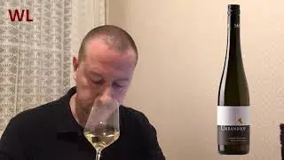 50 Оценок белого - Gruner Vetliner Wagram, 2017. Производитель: Urbanihof, Австрия