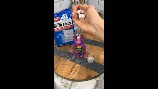 This Mothball Hack Will Make Your Home PEST FREE Forever!