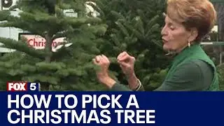 How to pick the perfect Christmas Tree | FOX 5 News