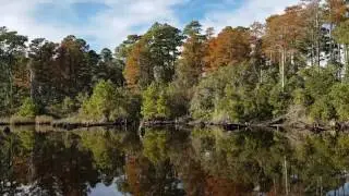 Pungo River Canal