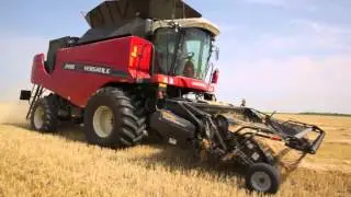 VERSATILE RT490 Combine harvesting barley