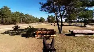 Cross Patty - Grand Parquet Fontainebleau 09-03-2014