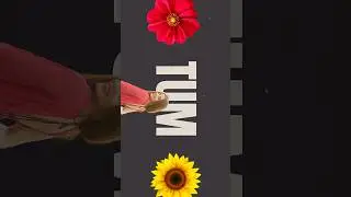 Tum Tak VN Template | Trending VN Code Template | Trending Reels | How To Use VN Code #ytshorts #vn