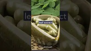 The Truth About Moringa and Weight Loss