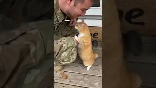 Cat Surprises Soldier With The Sweetest Welcome Ever