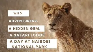 Nairobi National Park + Hidden Gem, Ololo Safari Lodge & Farm | A Day In The Wild, Friends & Lunch
