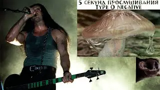 Dawg about Peter Steele [Type O Negative]
