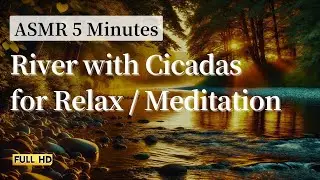5 Minutes ASMR Summer River with Cicadas Sounds for Relaxation and Focus